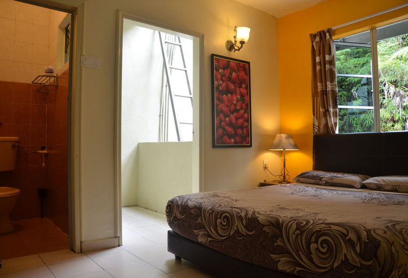 هاستل Father S Guest House