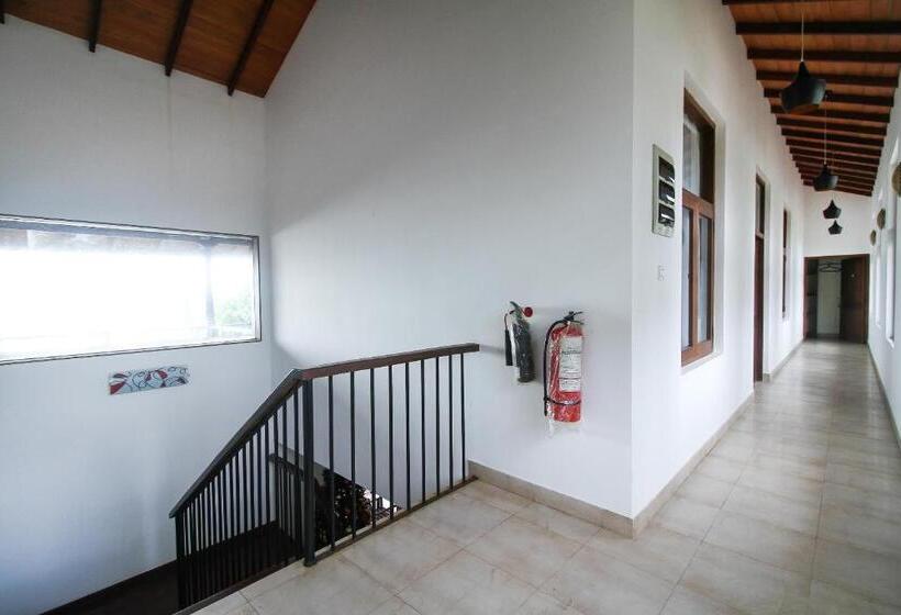 Отель Maresia Beach Villa