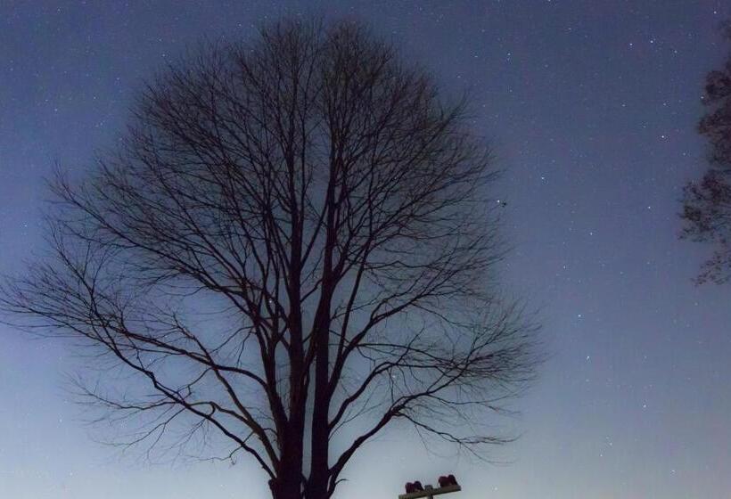فندق Minami Aso Luna Observatory Auberge Mori No Atelier