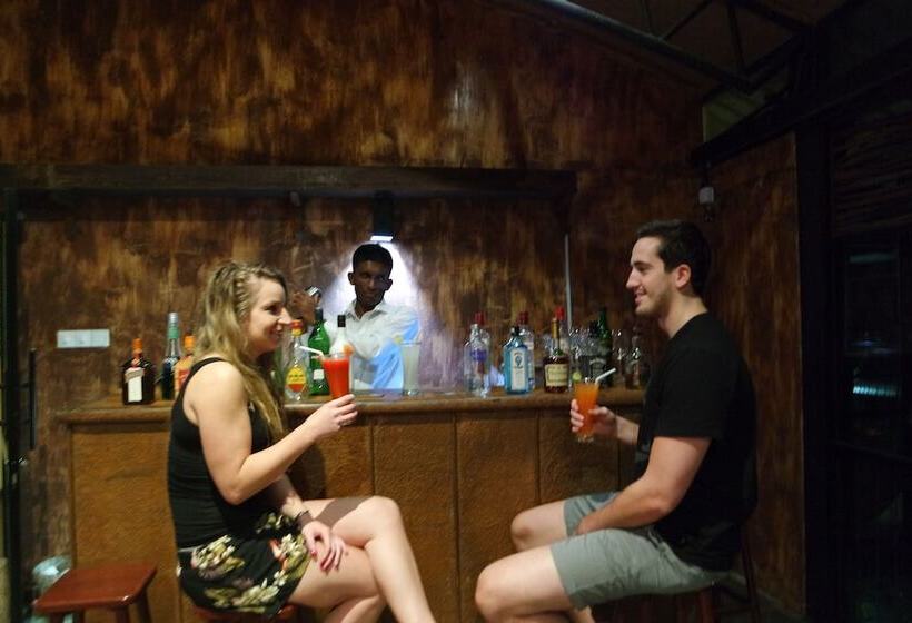 The Rainforest Ecolodge