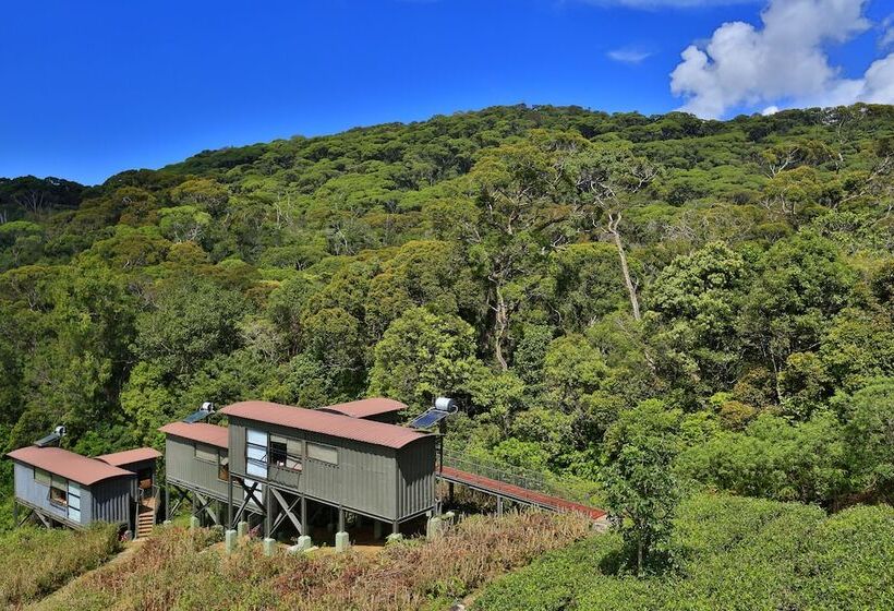 The Rainforest Ecolodge