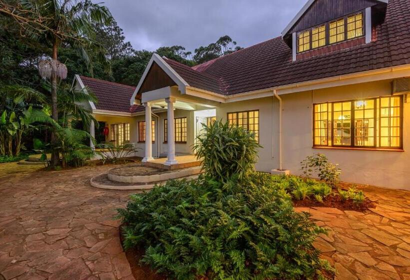 פנסיון Zesty Guesthouse