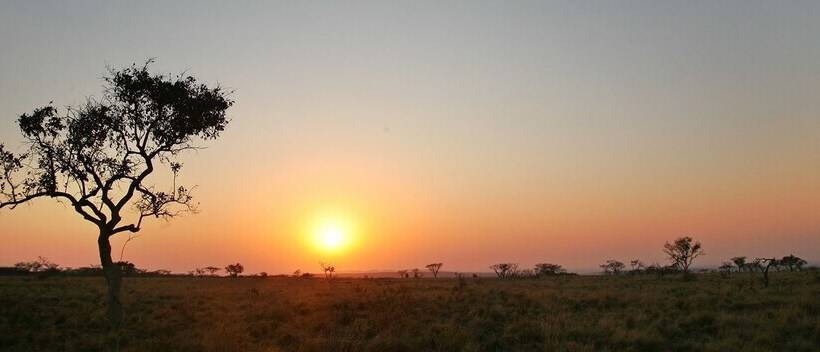 فندق Lejwe La Metsi Game Farm Pty Ltd