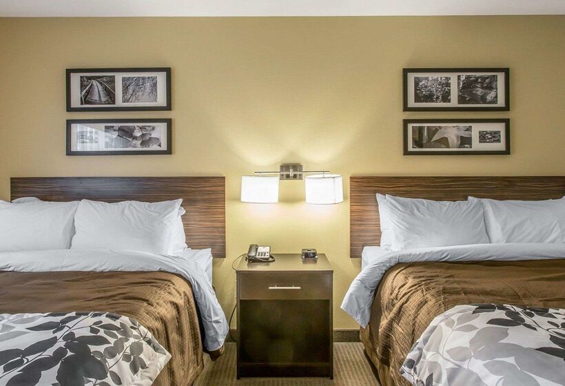 בית מלון כפרי Sleep Inn & Suites Jasper I22