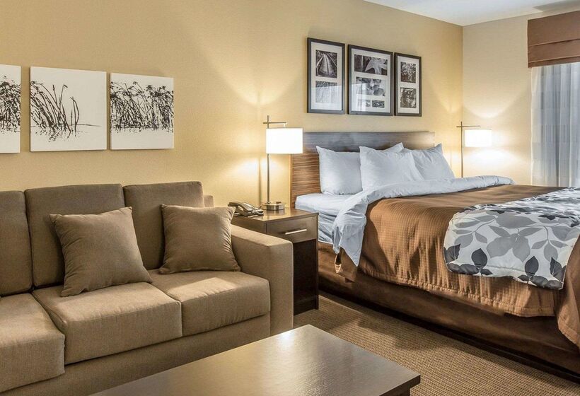 בית מלון כפרי Sleep Inn & Suites Jasper I22