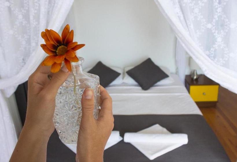 تختخواب و صبحانه Lumina Otel