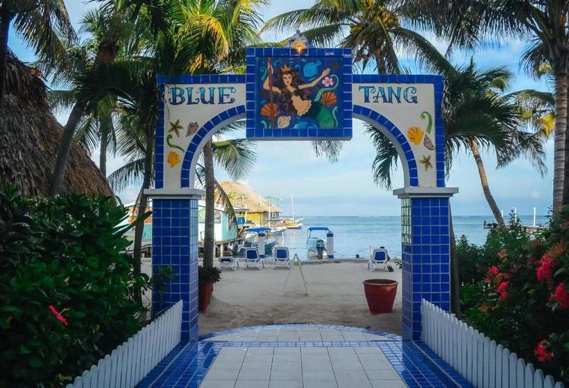 فندق Blue Tang Inn