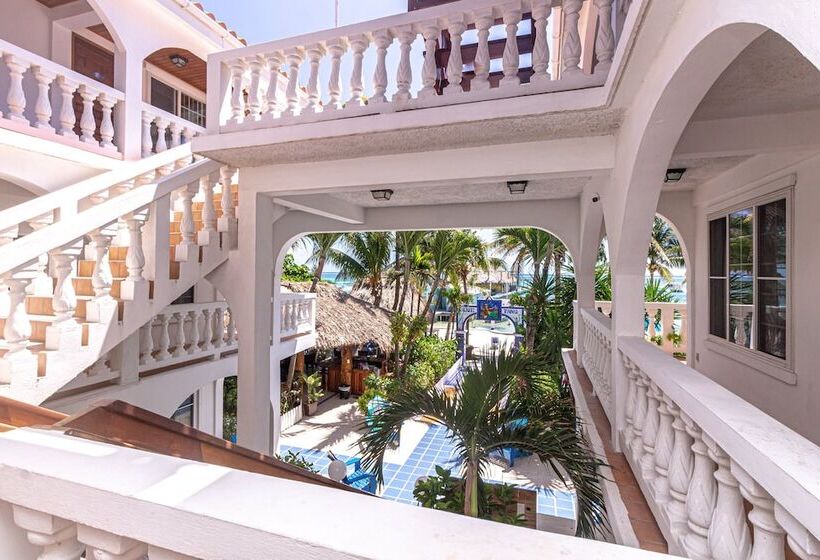 فندق Blue Tang Inn