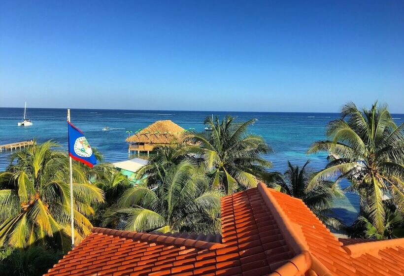 فندق Blue Tang Inn