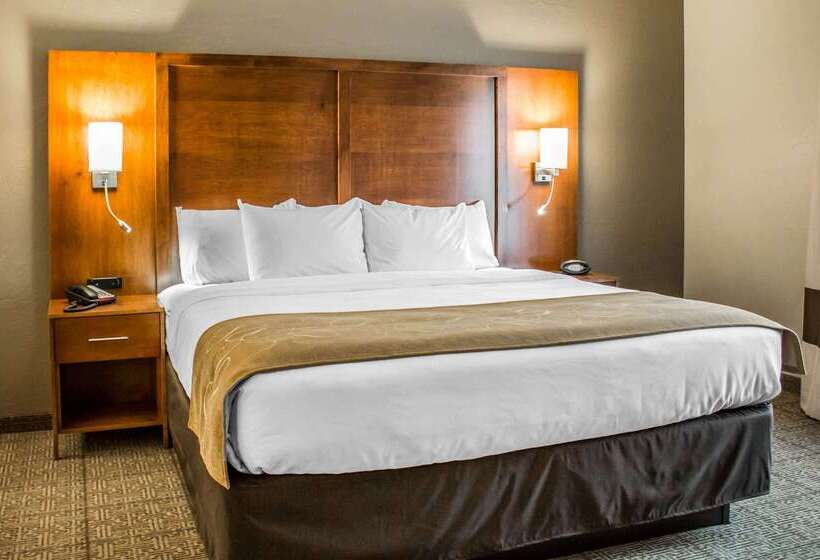 호텔 Comfort Suites Hartville North Canton