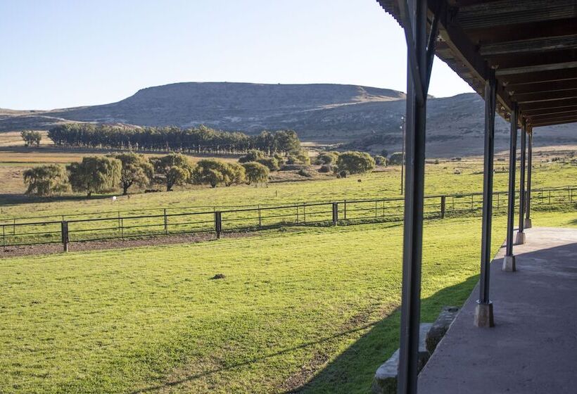 בית מלון כפרי Moolmanshoek Private Game Reserve