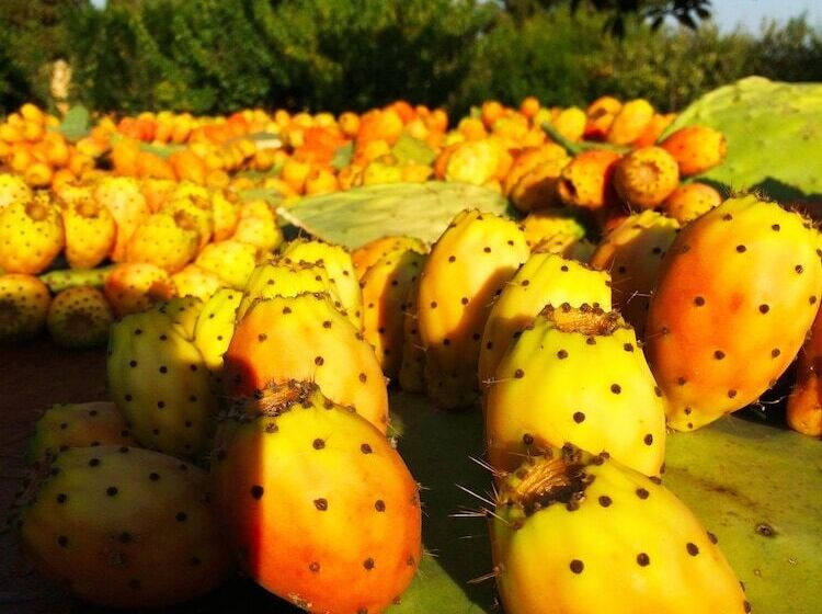Masseria Pappo