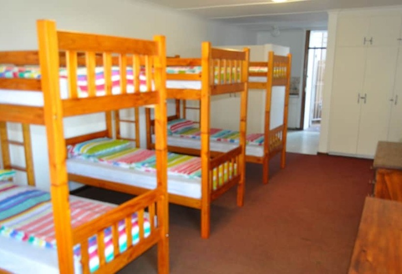 هاستل Backpacker Apartments