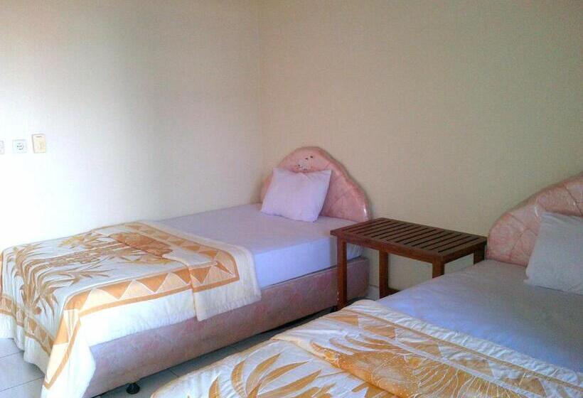 تختخواب و صبحانه Adus Beach Inn