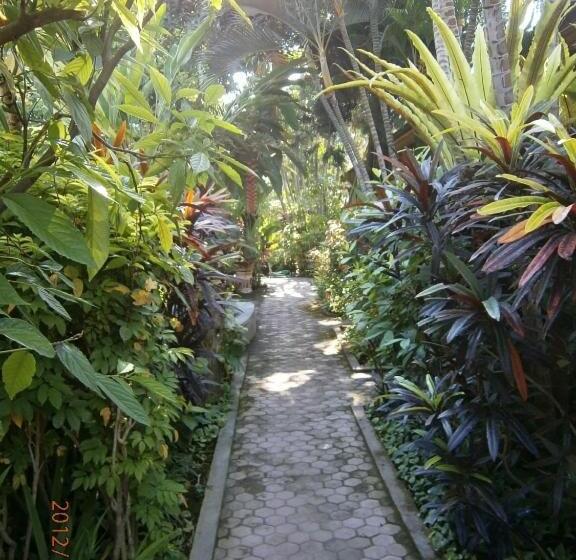 تختخواب و صبحانه Adus Beach Inn