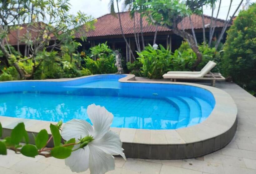 تختخواب و صبحانه Adus Beach Inn