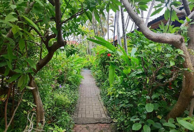 تختخواب و صبحانه Adus Beach Inn