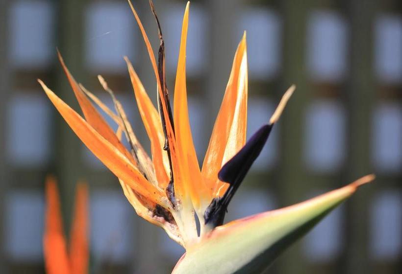 צימר Innzululand Guest Lodge