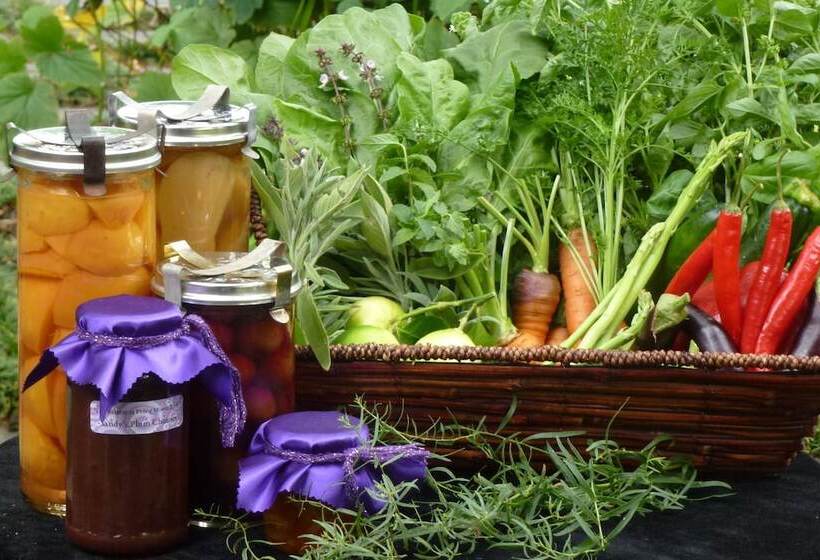 مبيت وإفطار The Retreat At Froog Moore Park