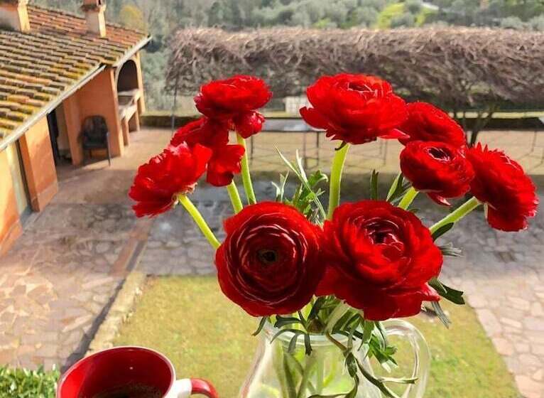 فندق Agriturismo Tenuta Cantagallo