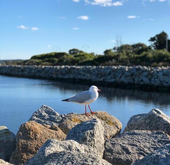 بنسيون Albany Foreshore Guest House