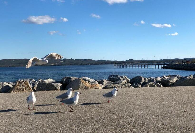 بنسيون Albany Foreshore Guest House