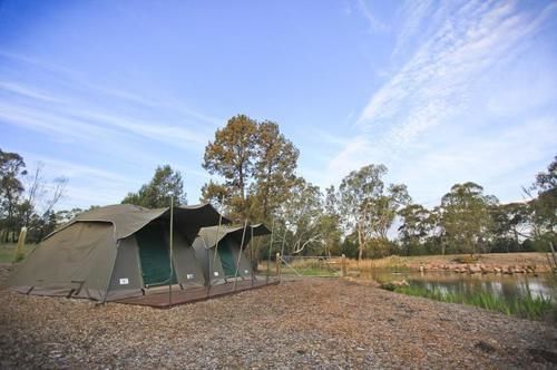 فندق Billabong Camp At Taronga Western Plains