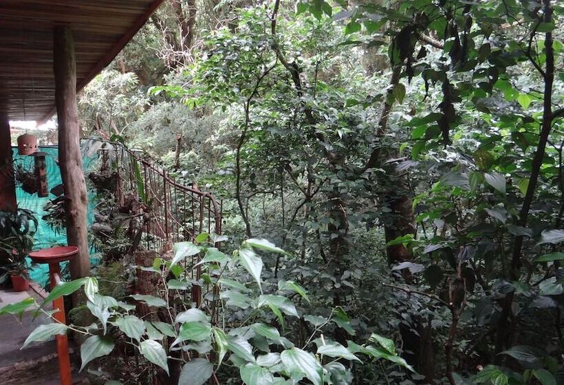 هتل Forest Dreams Manakin