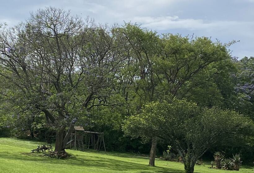 בית מלון כפרי Spion Kop Lodge