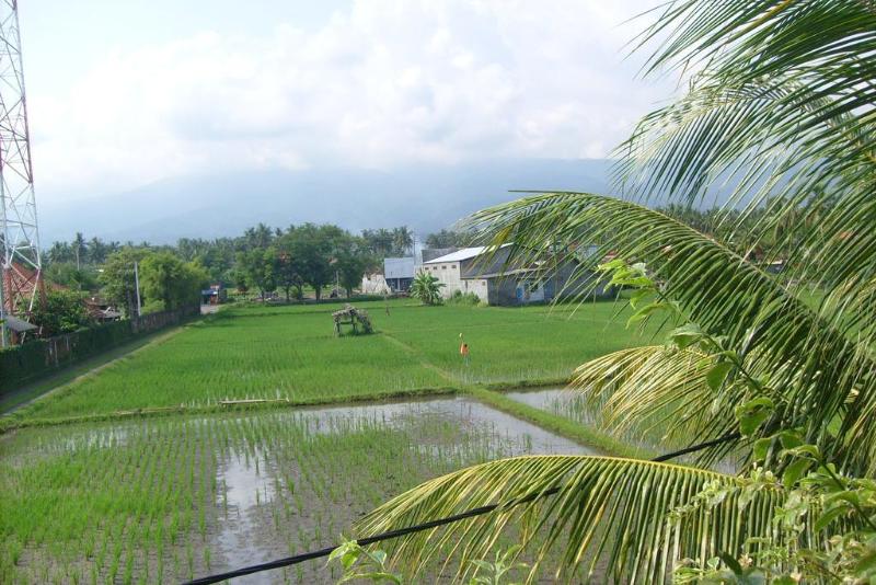 فندق Villa Agung Beach Inn