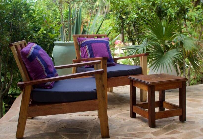 פנסיון Bellevue Zanzibar