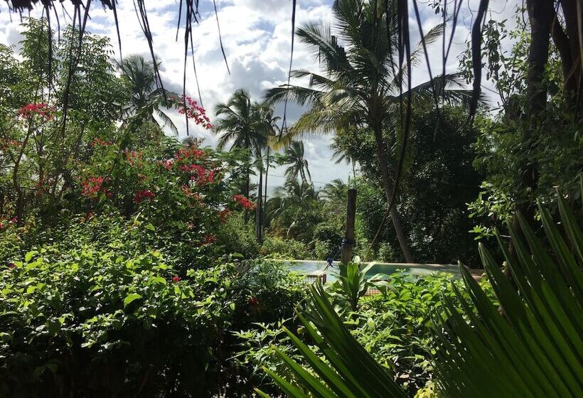 פנסיון Bellevue Zanzibar