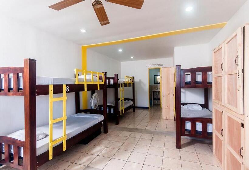 هاستل La Hacienda Rooms & Food