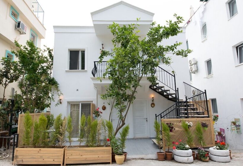Bed and Breakfast 8 Pansiyon