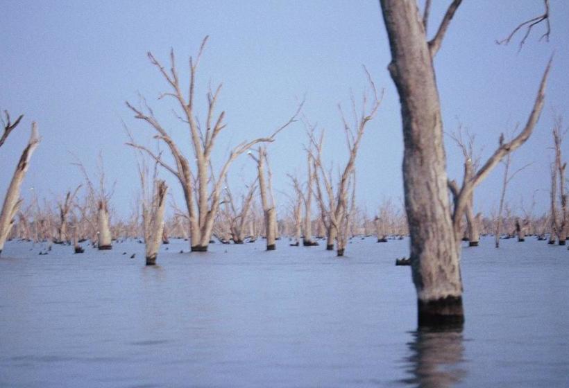 酒店 The Yarrawonga