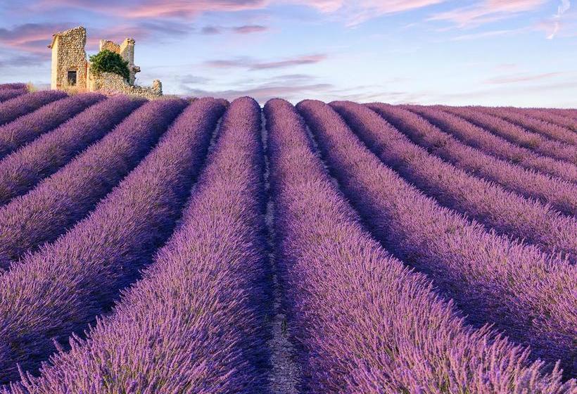 ペンション La Bastide Des Templiers