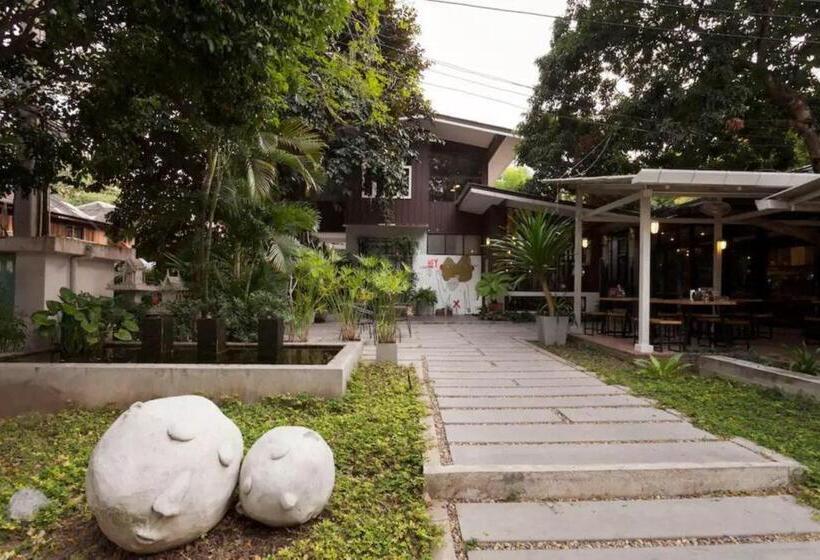 Chiang Mai D Hostel
