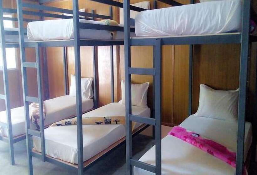 Funky Fish Hostel