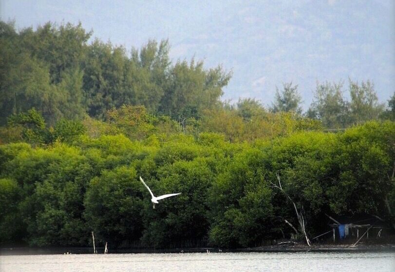 هتل Seri Resort Gili Meno   Adults Only