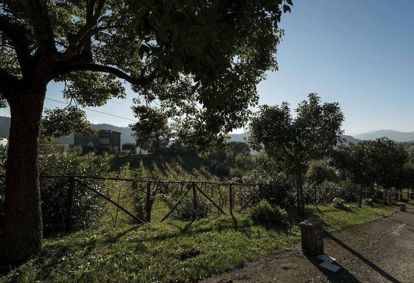 ホテル Tenuta D'amore