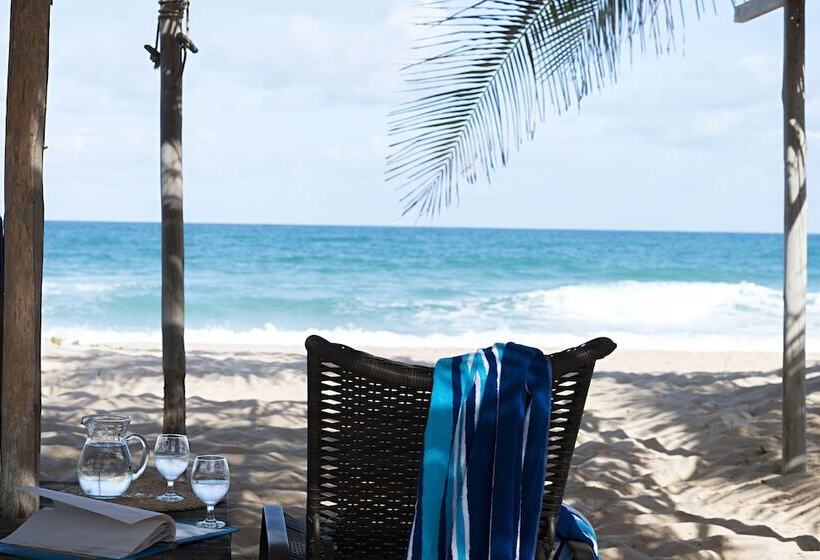 בית מלון כפרי Terraços Marinhos