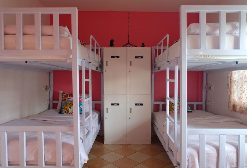 Finlay House   Hostel
