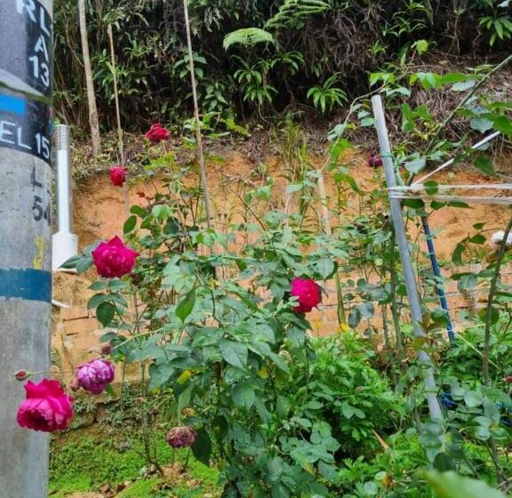 پانسیون Arundina Cameron Highlands
