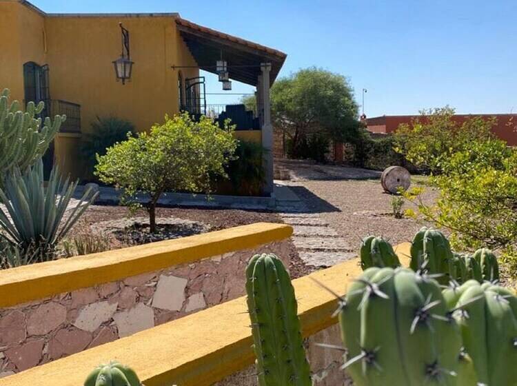 Villa View