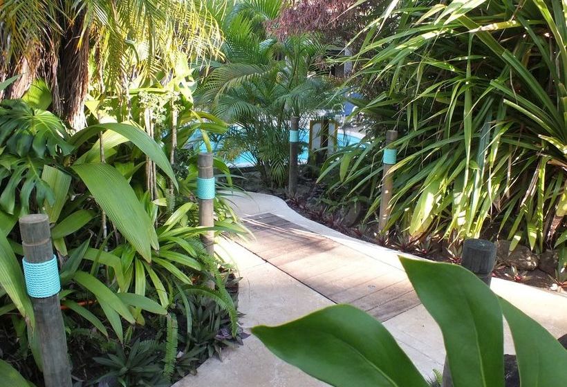 Rarotonga Daydreamer Escape