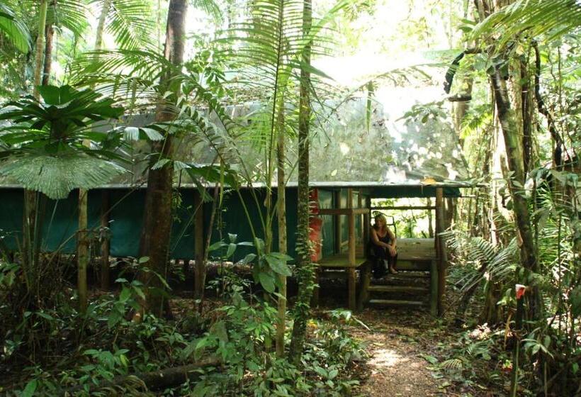 호스텔 Daintree Crocodylus