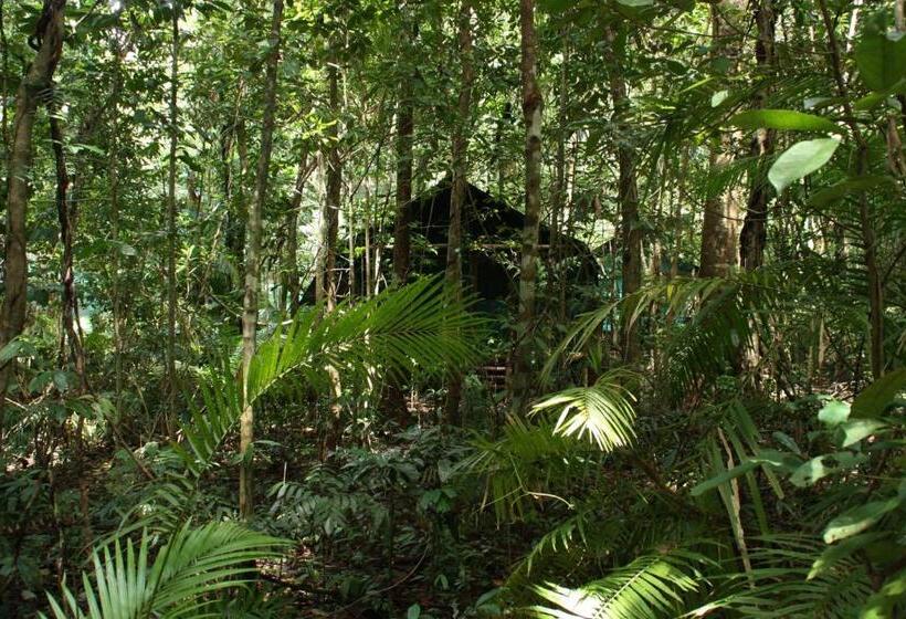 호스텔 Daintree Crocodylus