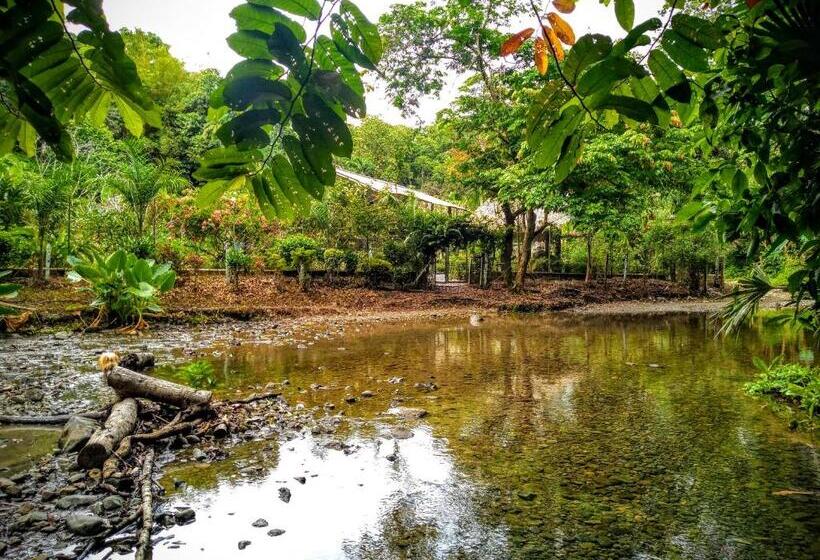 هتل Hostal Capurgana