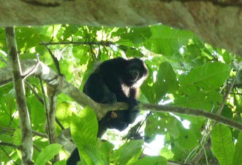 هتل Hostal Capurgana