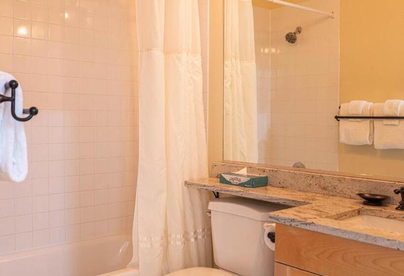 בית מלון כפרי Long Trail House Condominiums At Stratton Mountain Resort